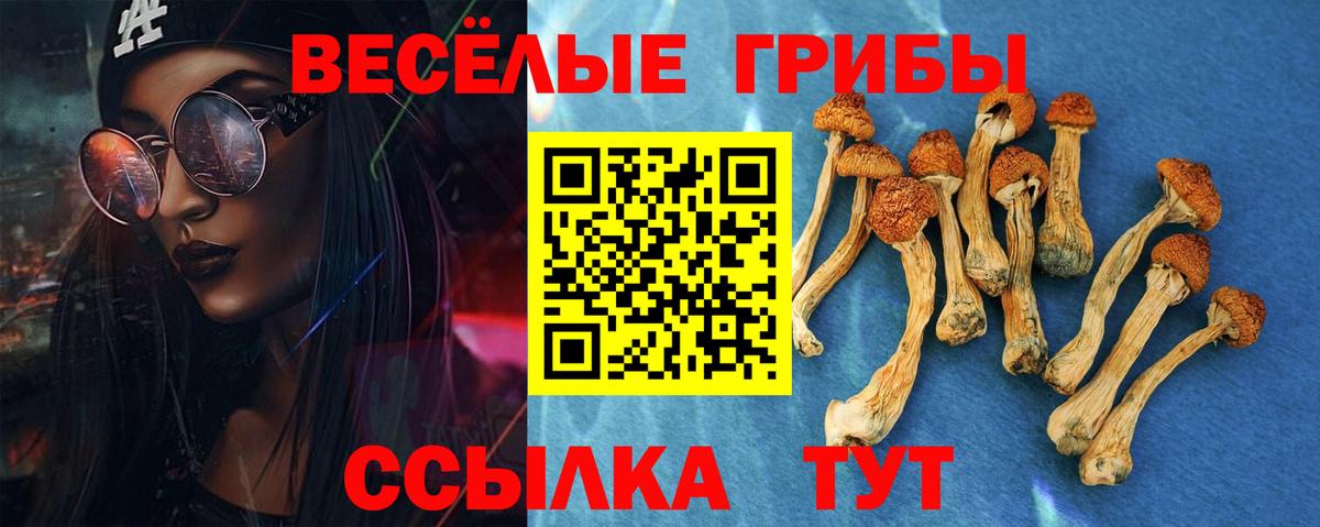 Галлюциногенные грибы Magic Shrooms  Вход с VPN  где найти   Геленджик 