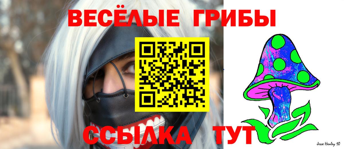Псилоцибиновые грибы ЛСД Геленджик